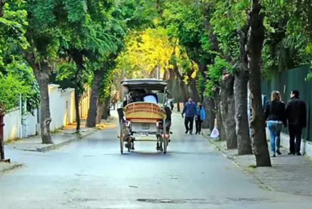 Princes Islands Tour